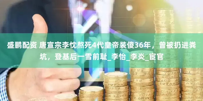 盛鹏配资 唐宣宗李忱熬死4代皇帝装傻36年，曾被扔进粪坑，登基后一雪前耻_李怡_李炎_宦官