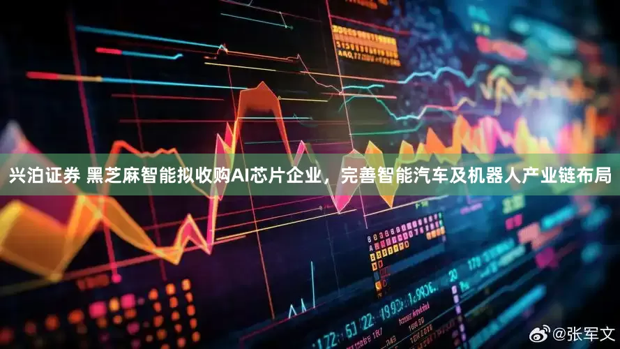 兴泊证券 黑芝麻智能拟收购AI芯片企业，完善智能汽车及机器人产业链布局