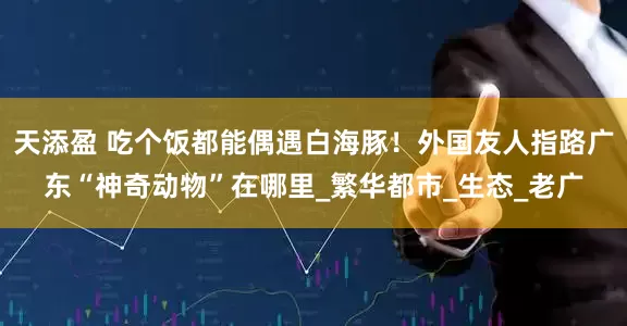 天添盈 吃个饭都能偶遇白海豚！外国友人指路广东“神奇动物”在哪里_繁华都市_生态_老广