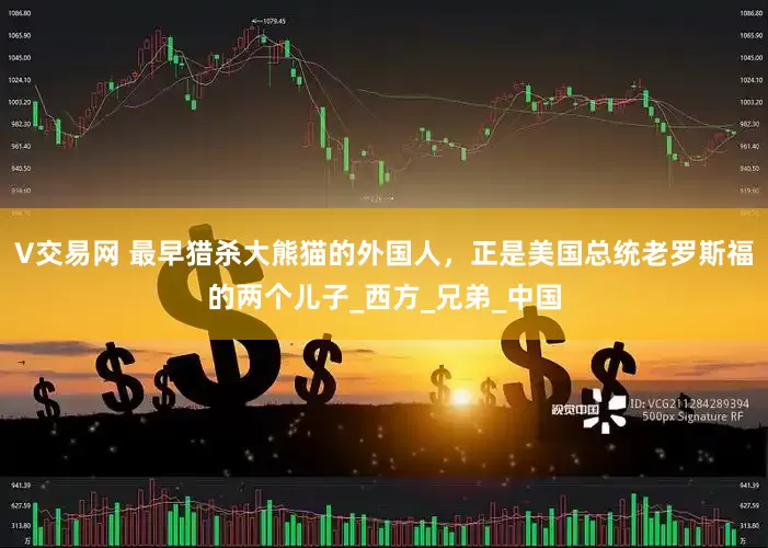 V交易网 最早猎杀大熊猫的外国人，正是美国总统老罗斯福的两个儿子_西方_兄弟_中国