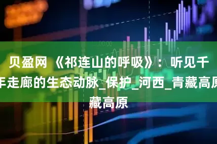 贝盈网 《祁连山的呼吸》：听见千年走廊的生态动脉_保护_河西_青藏高原