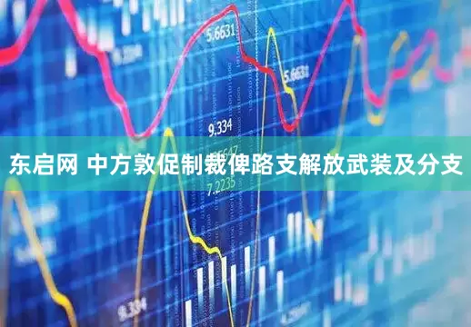 东启网 中方敦促制裁俾路支解放武装及分支