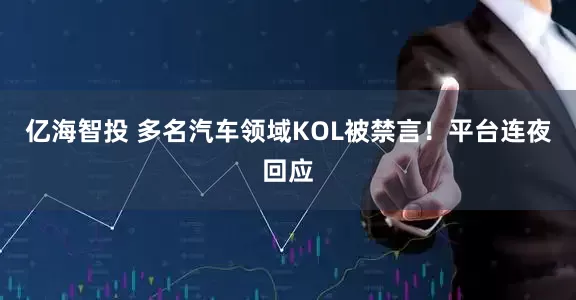 亿海智投 多名汽车领域KOL被禁言！平台连夜回应